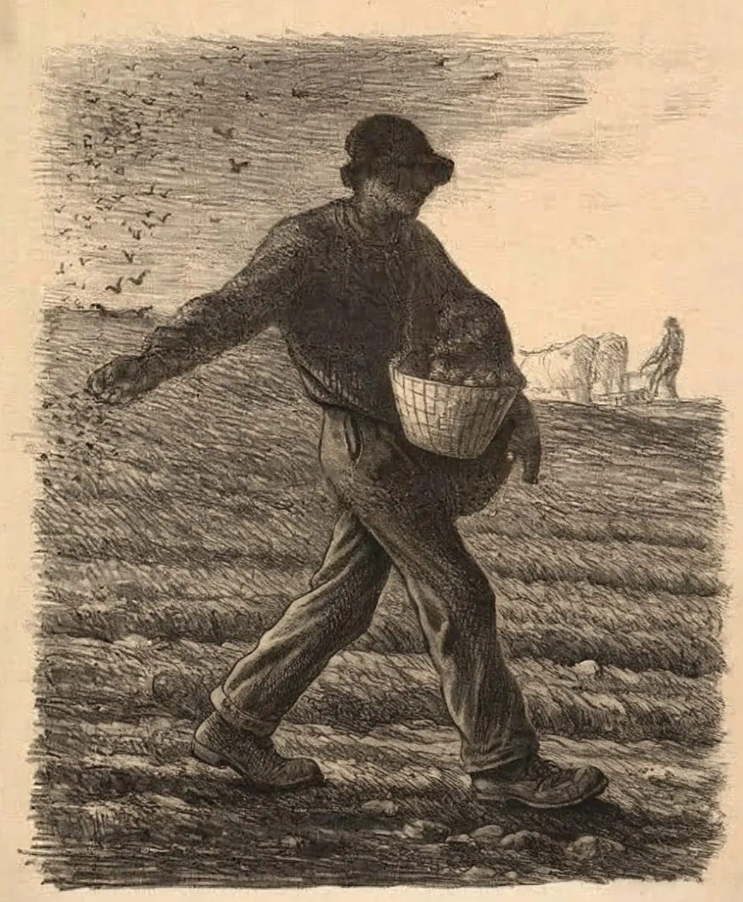 Gravura antiga: um semeador atravessa o campo arado lançando as sementes, com pássaros ao fundo e um lavrador ao longe.